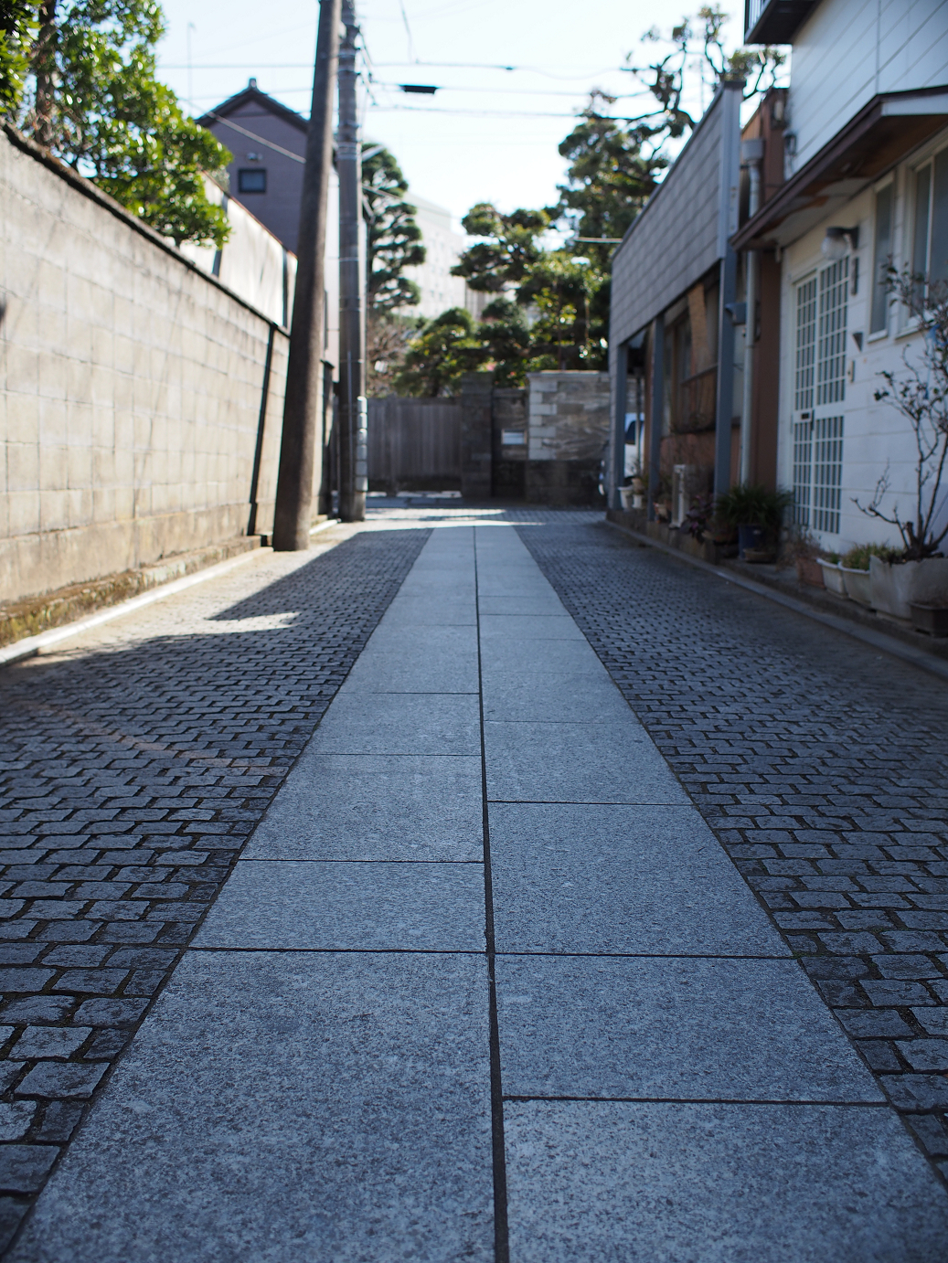 P3110320.jpg