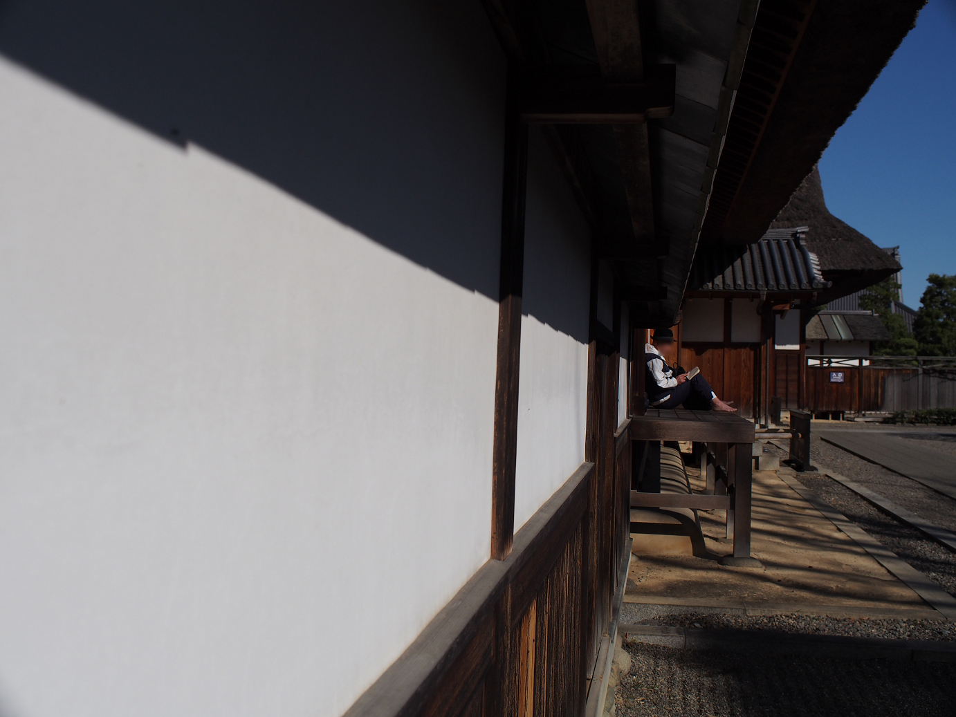 P3110366.jpg