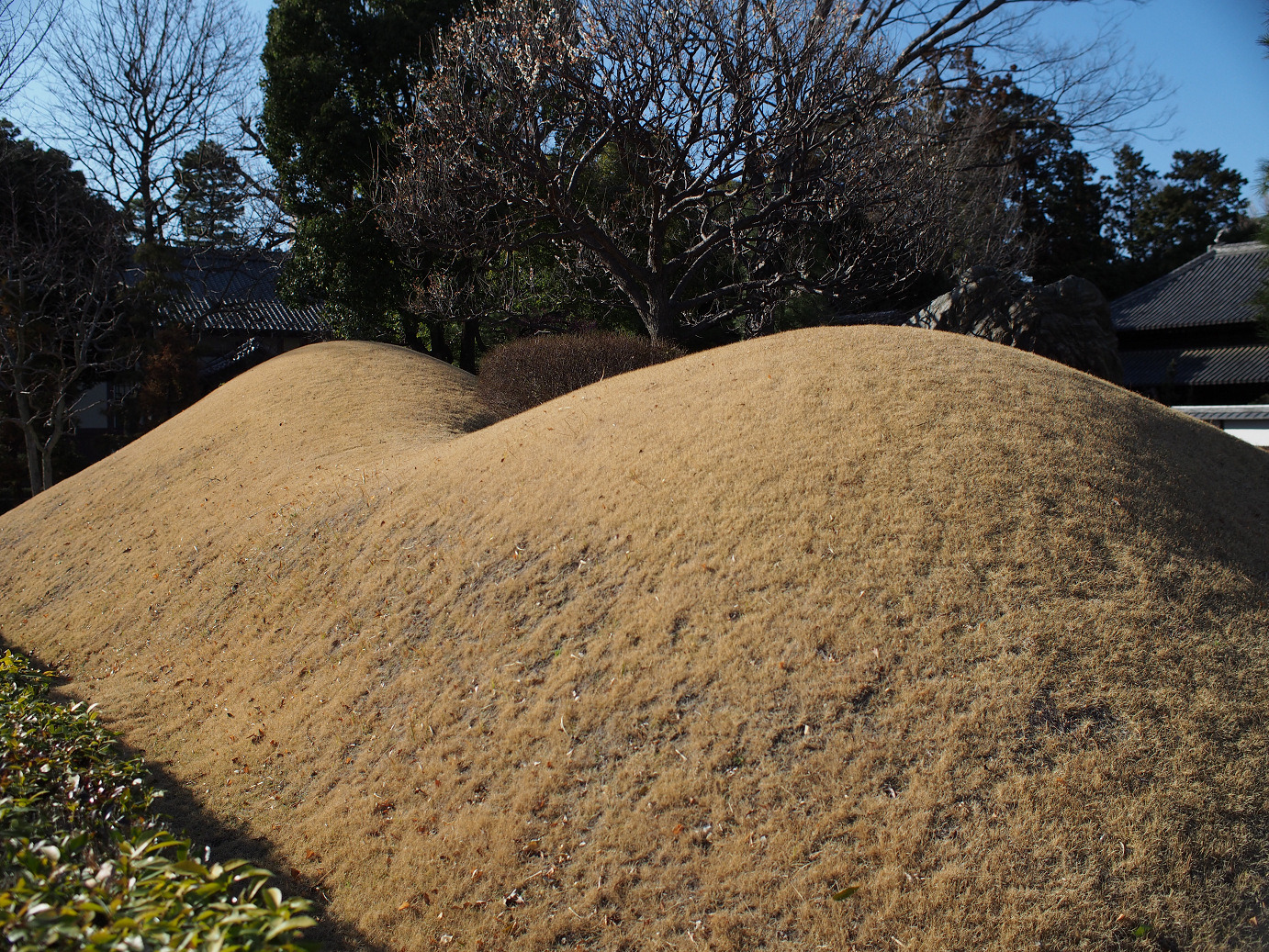 P3110441.jpg