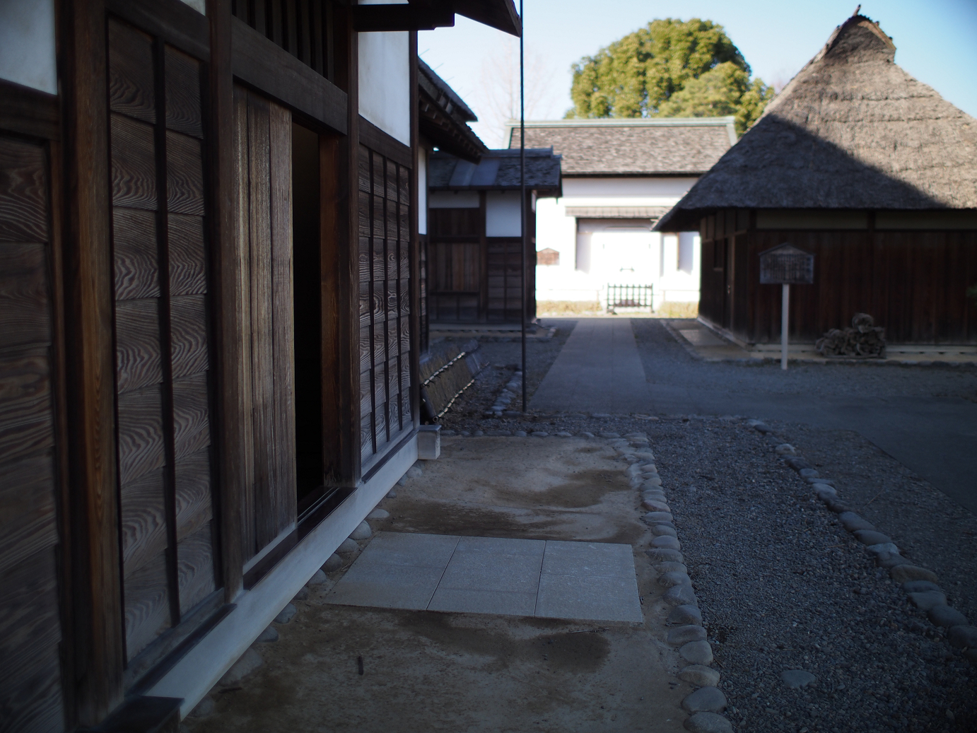 P3110445.jpg