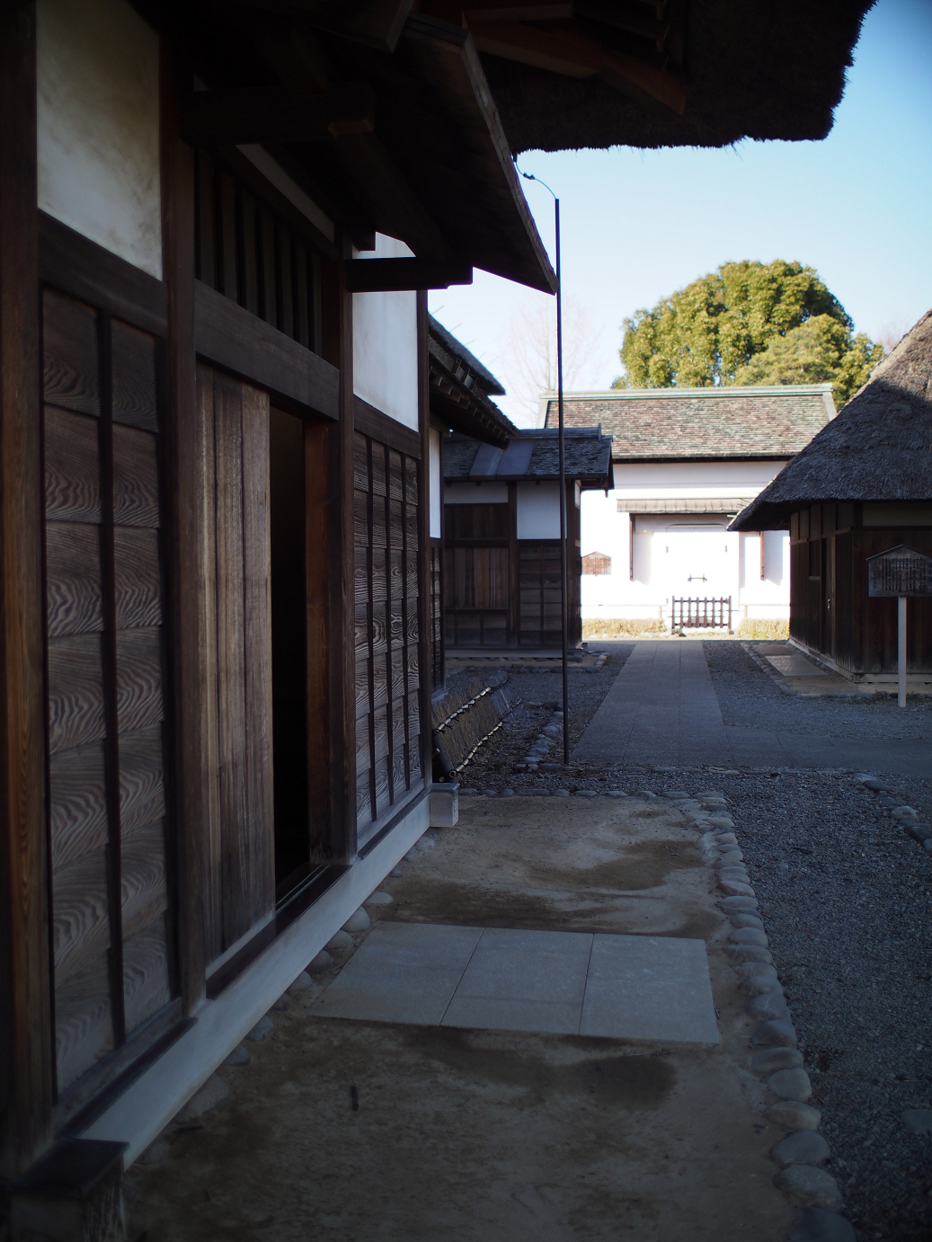 P3110446.jpg