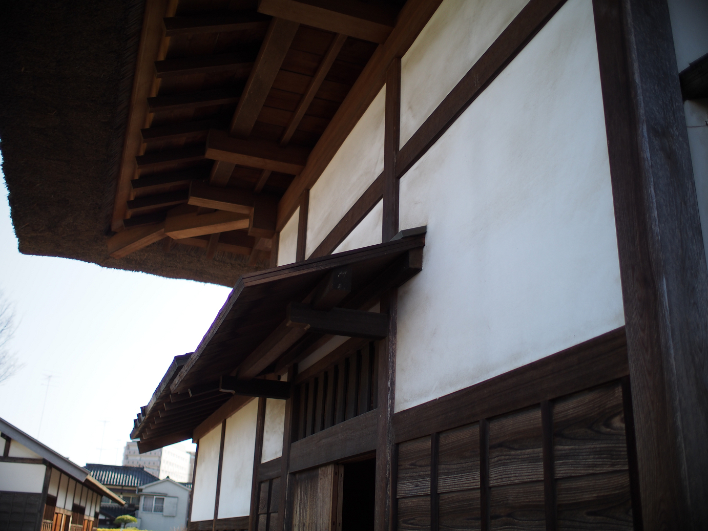 P3110448.jpg