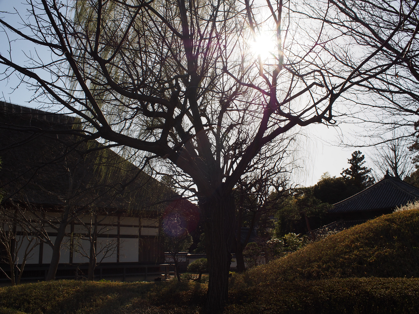 P3110455.jpg