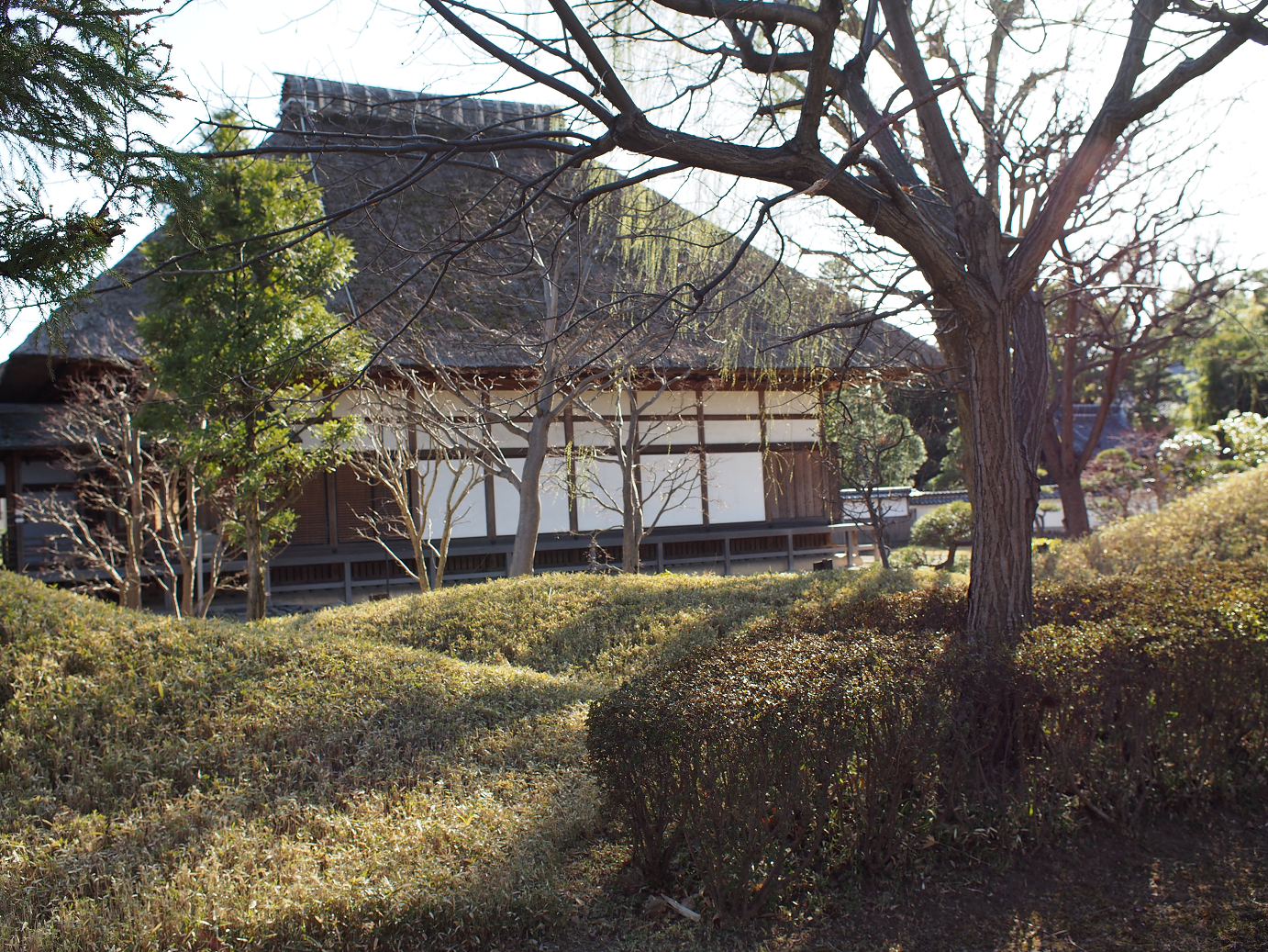 P3110456.jpg