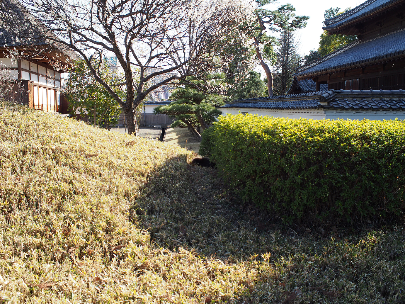 P3110457.jpg