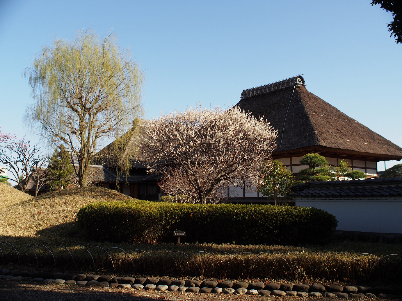 P3110464.jpg