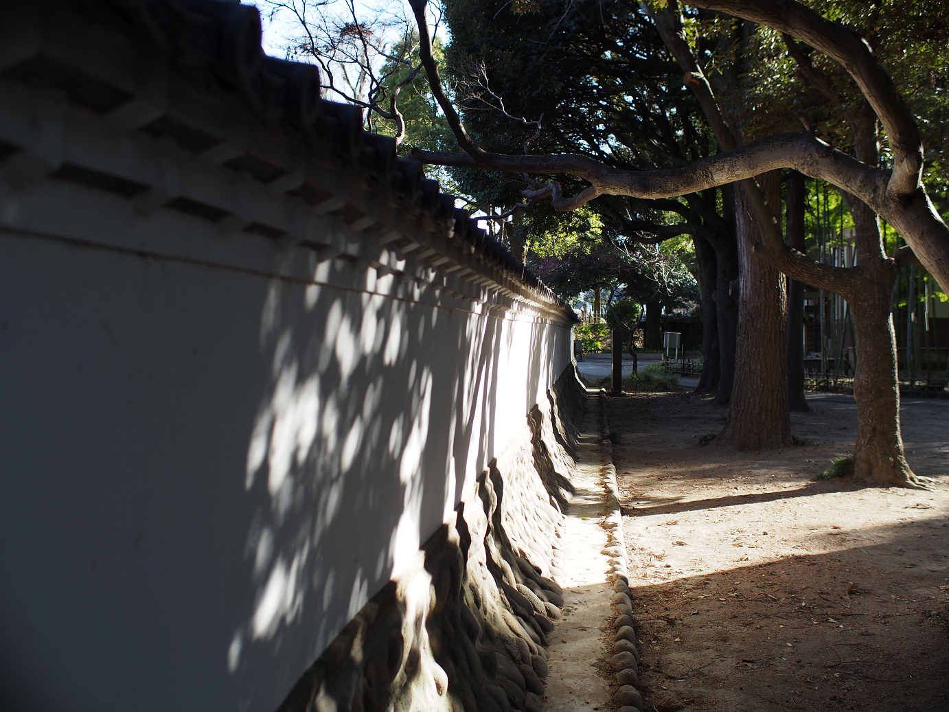 P3110467.jpg