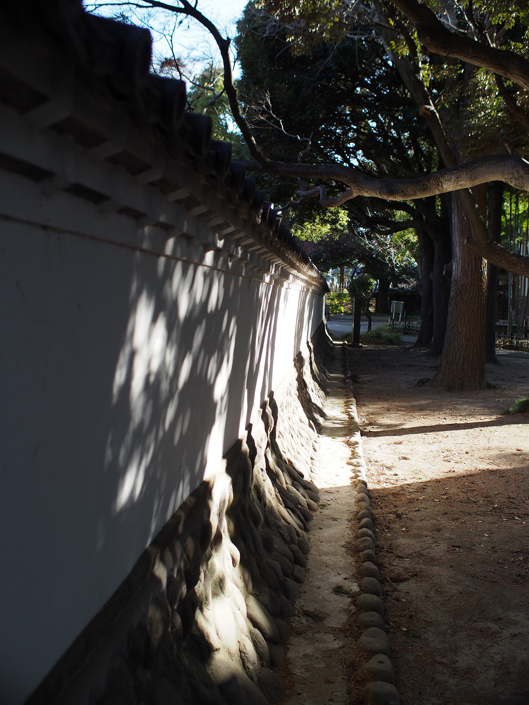 P3110468.jpg