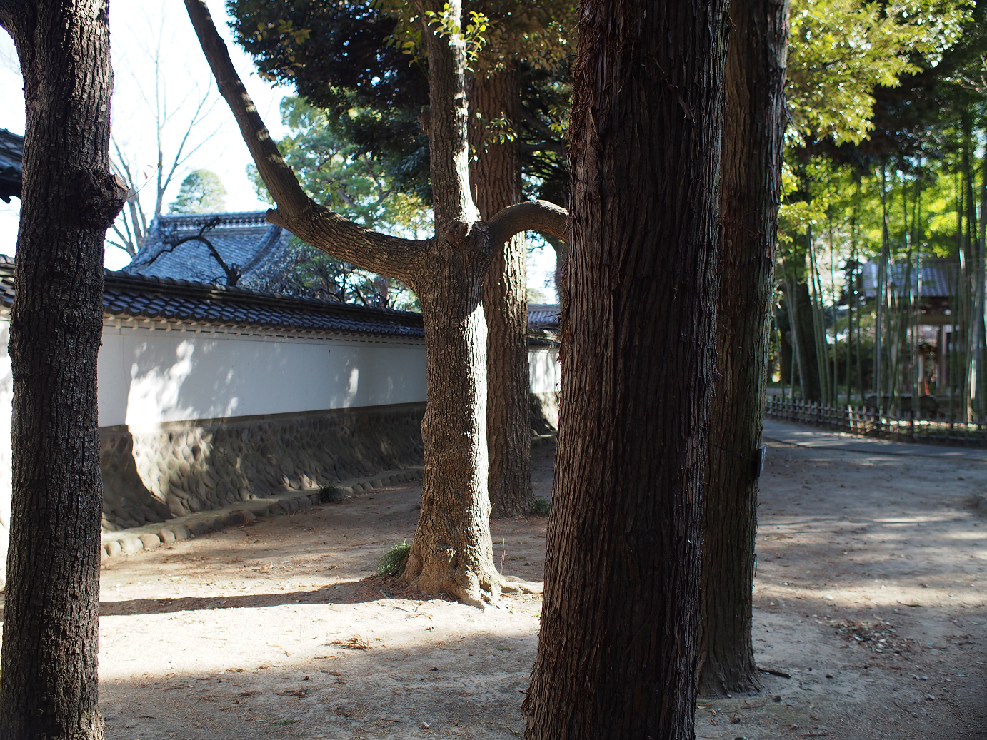P3110473.jpg
