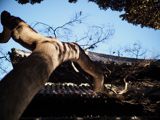 P3110475_thumb.png