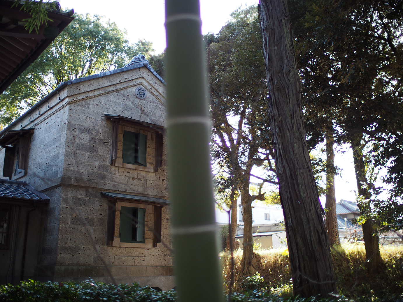 P3110486.jpg