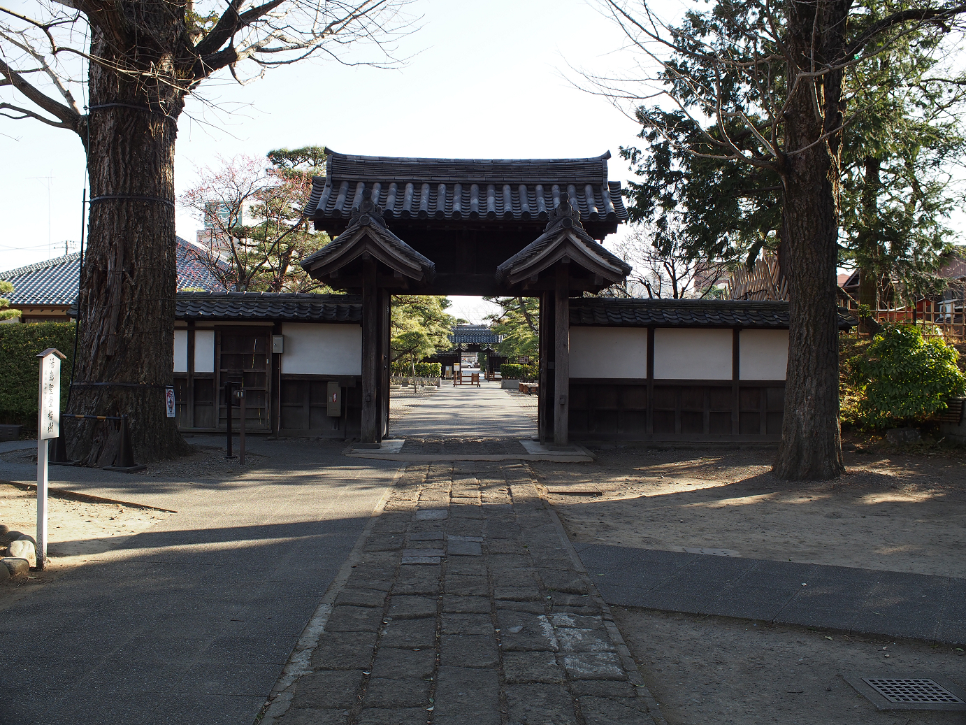 P3110493.jpg
