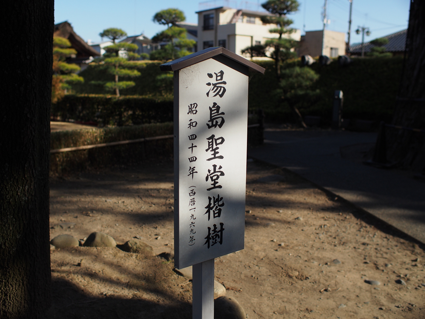 P3110500.jpg