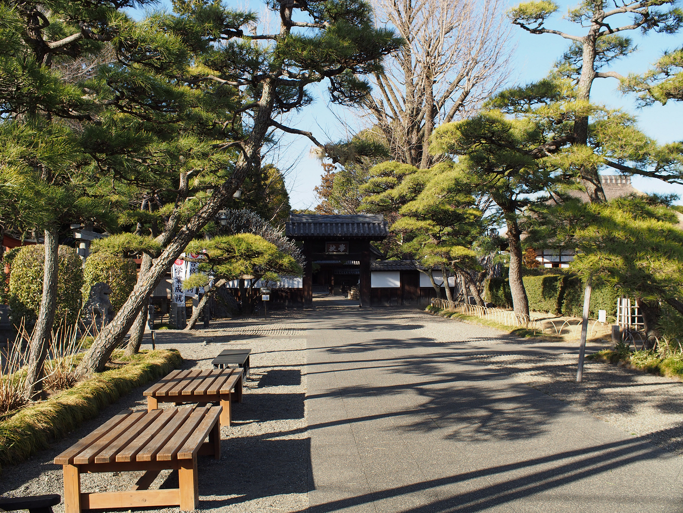 P3110510.jpg