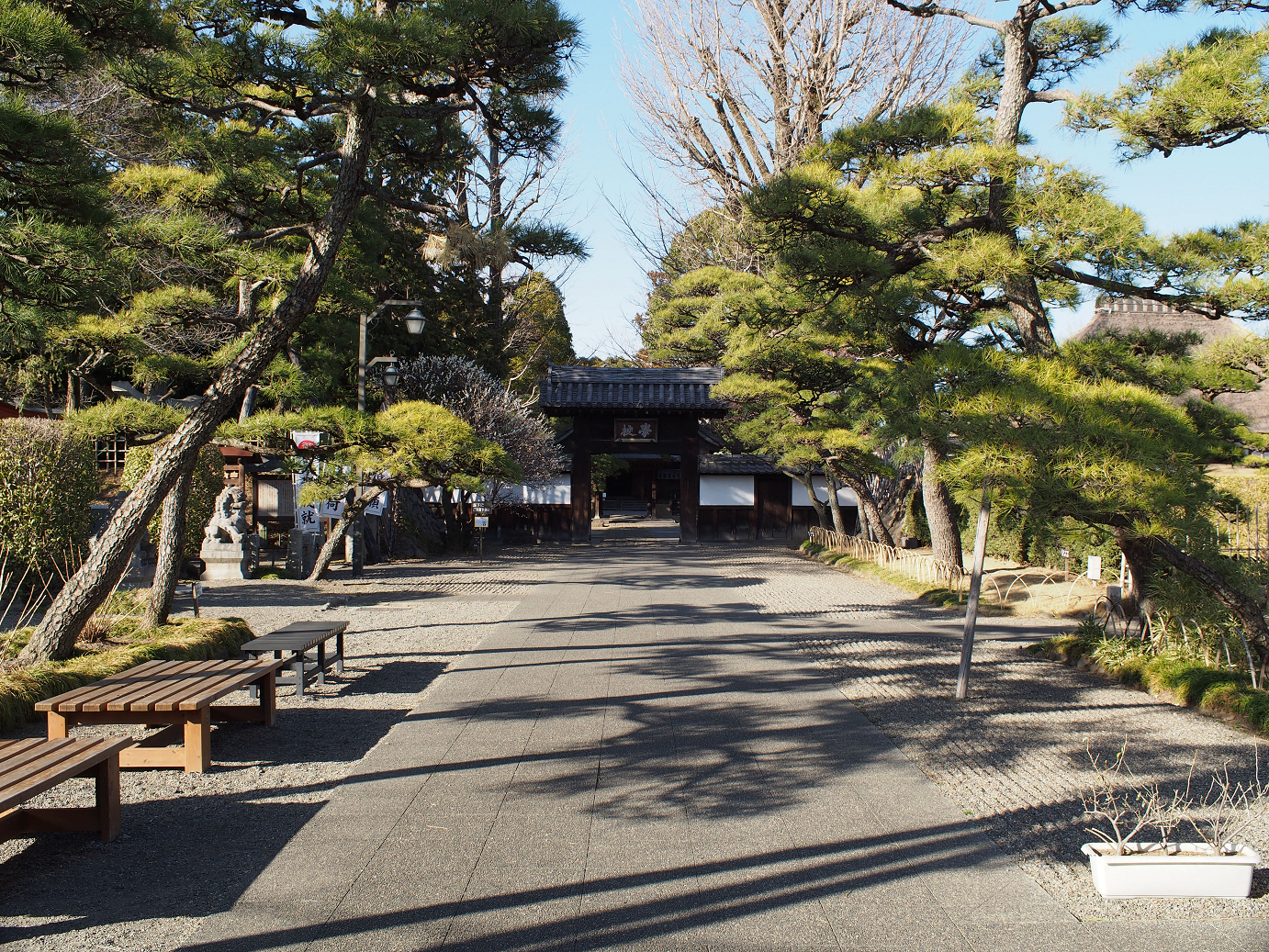 P3110511.jpg