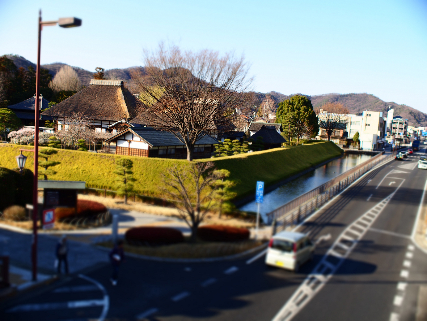 P3110529.jpg
