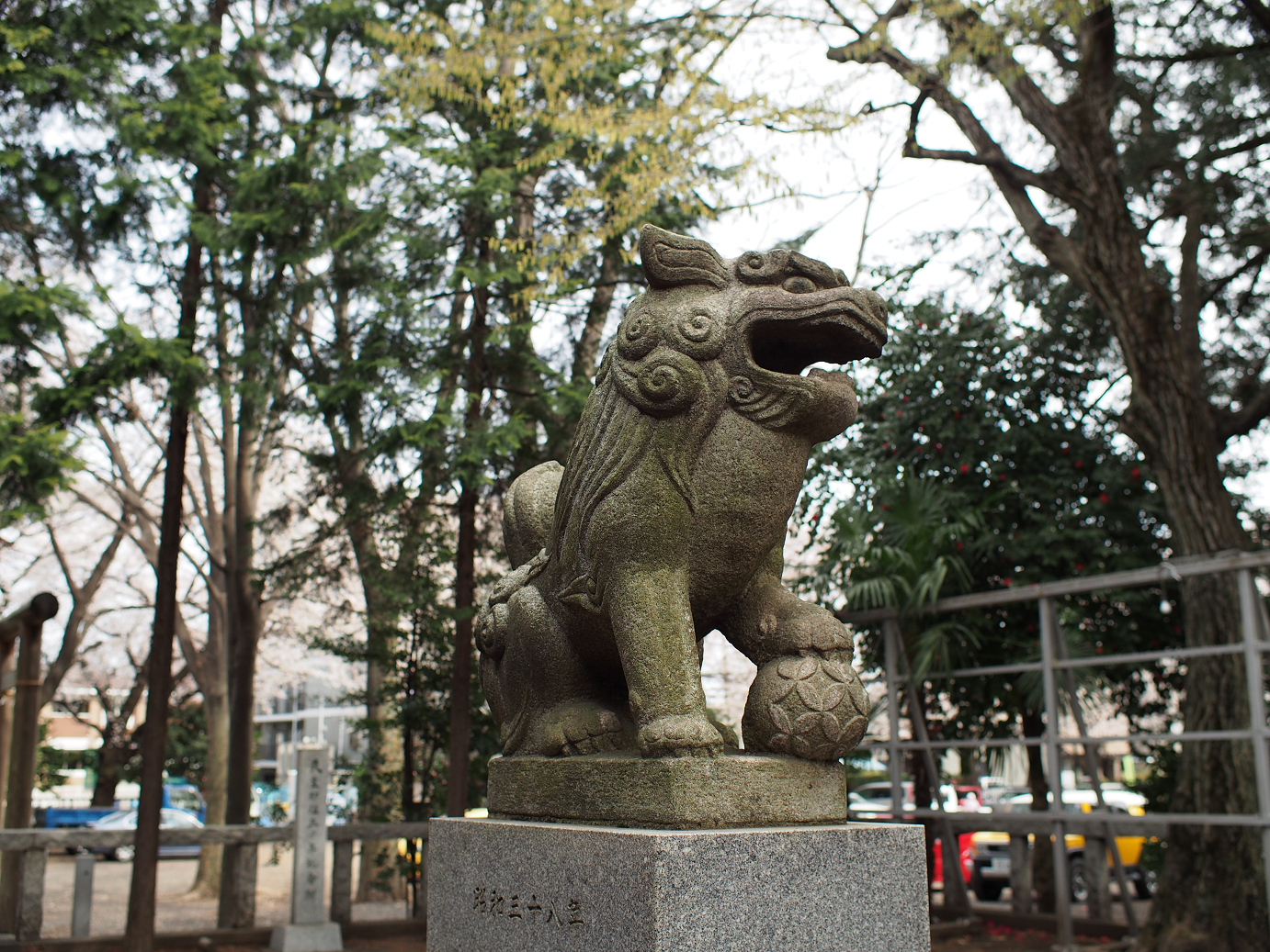 P3230019.jpg