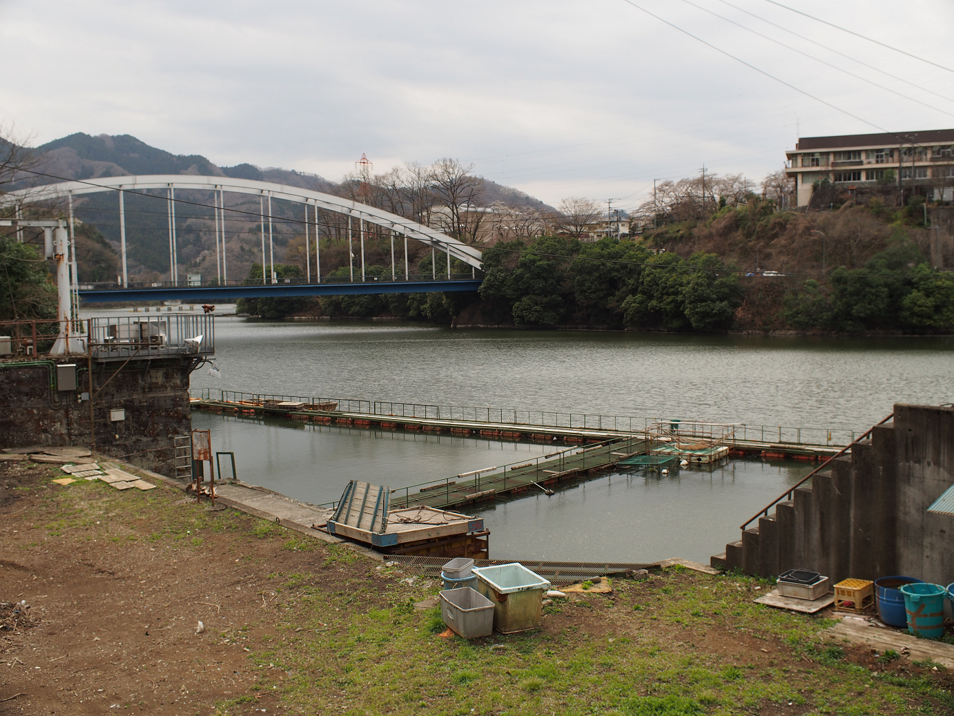 P3230109.jpg