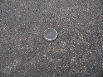 P3230131_thumb.png