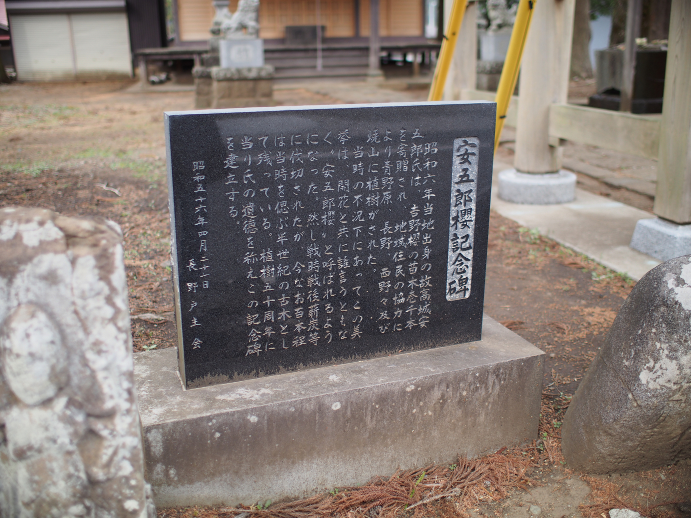 P3230150.jpg
