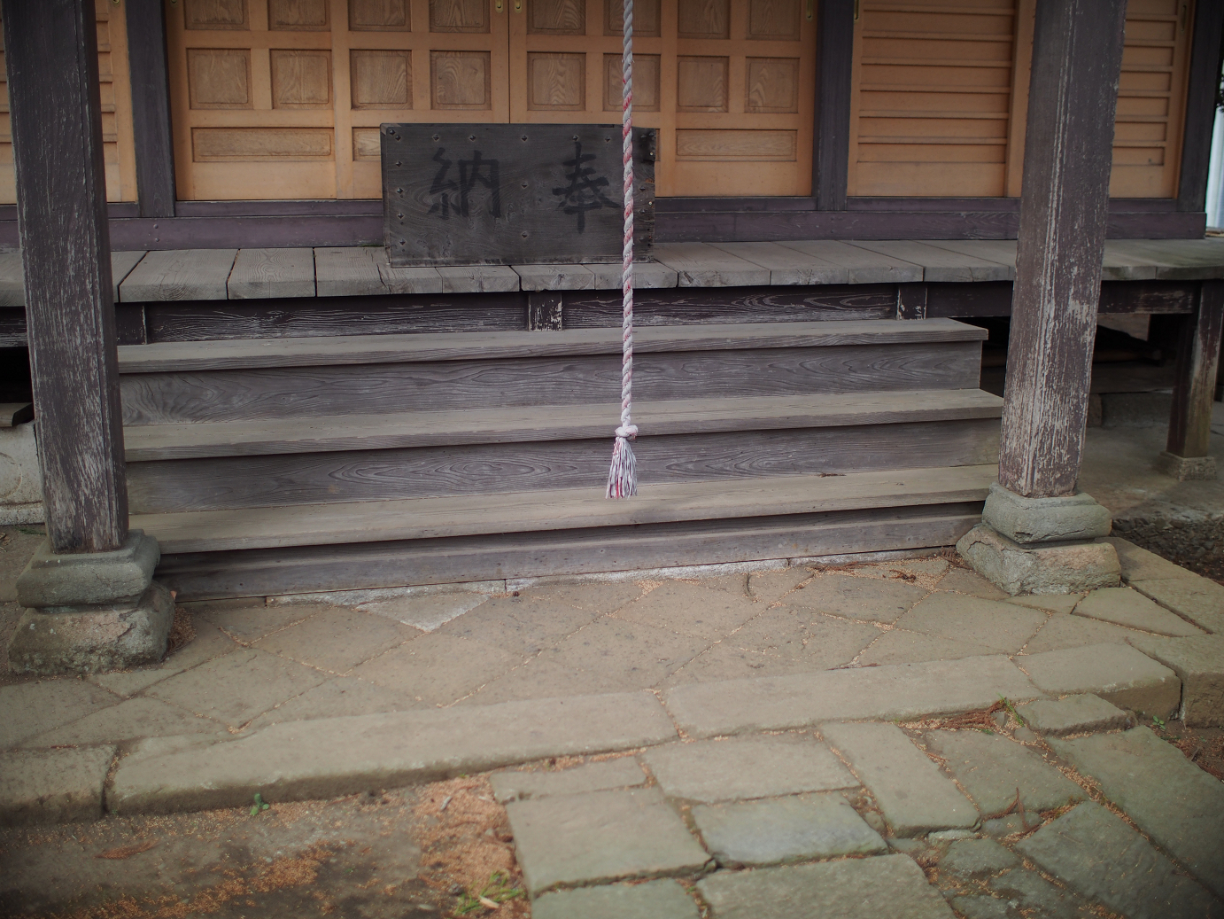 P3230161.jpg