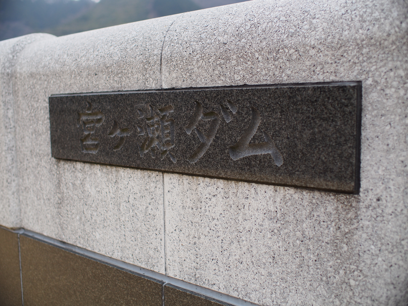 P3230178.jpg
