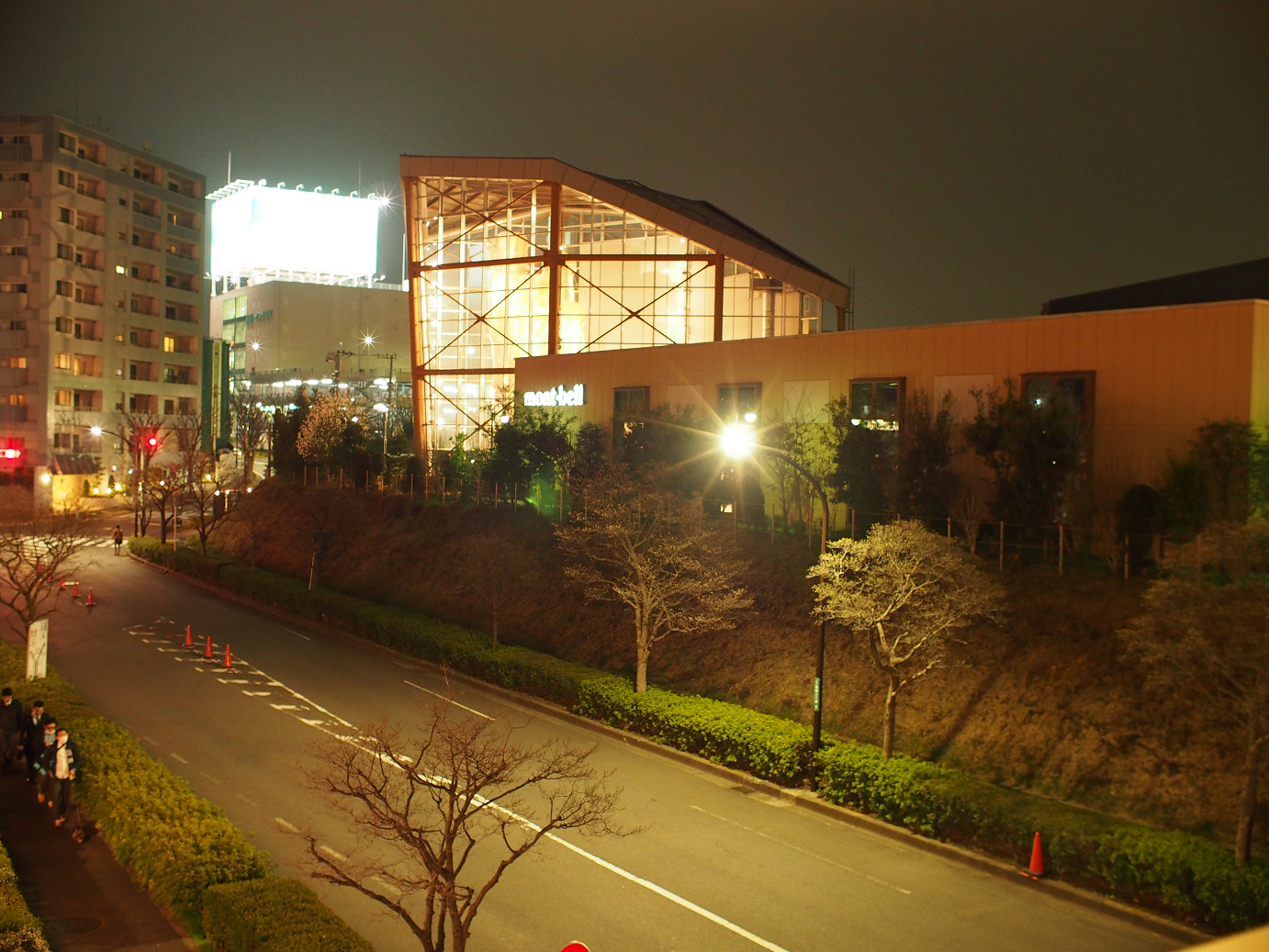 P3230274.jpg