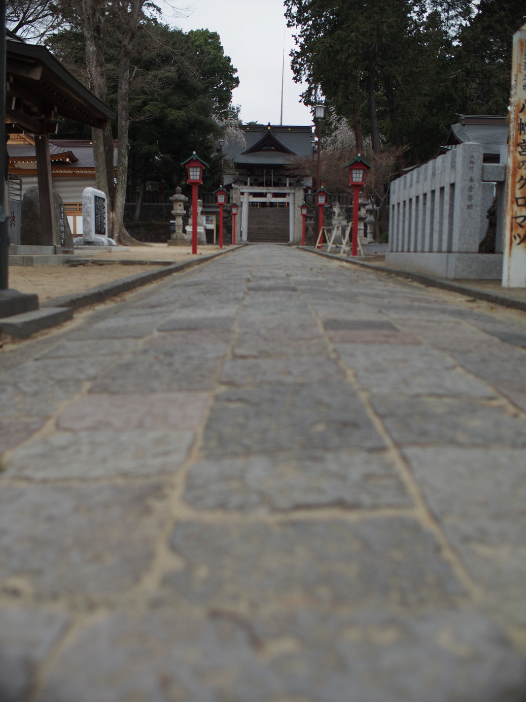 P3240015.jpg