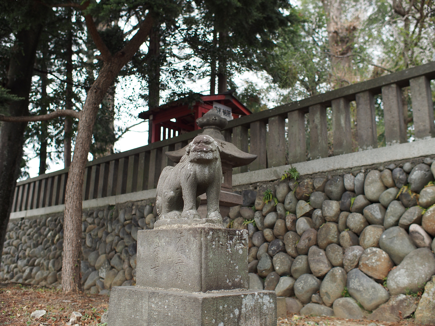 P3240035.jpg