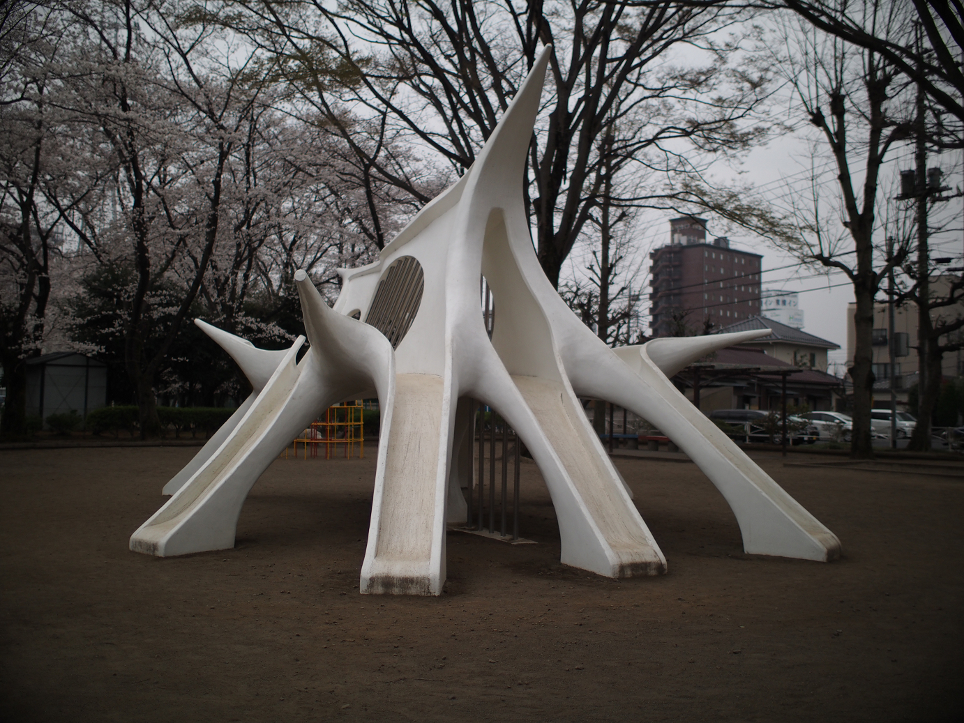 P3240160.jpg