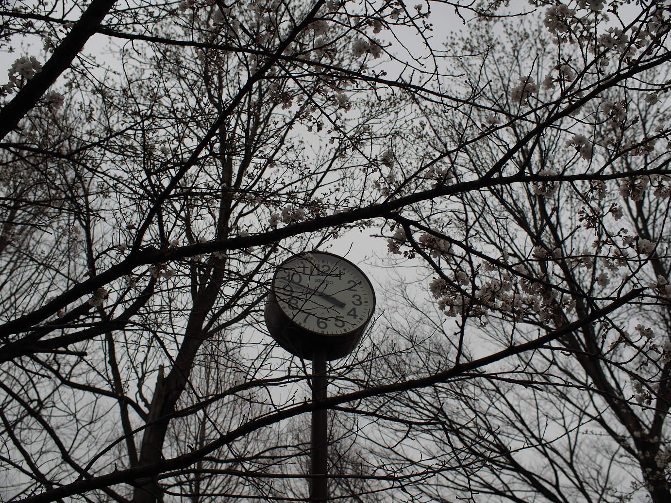 P3240319.jpg