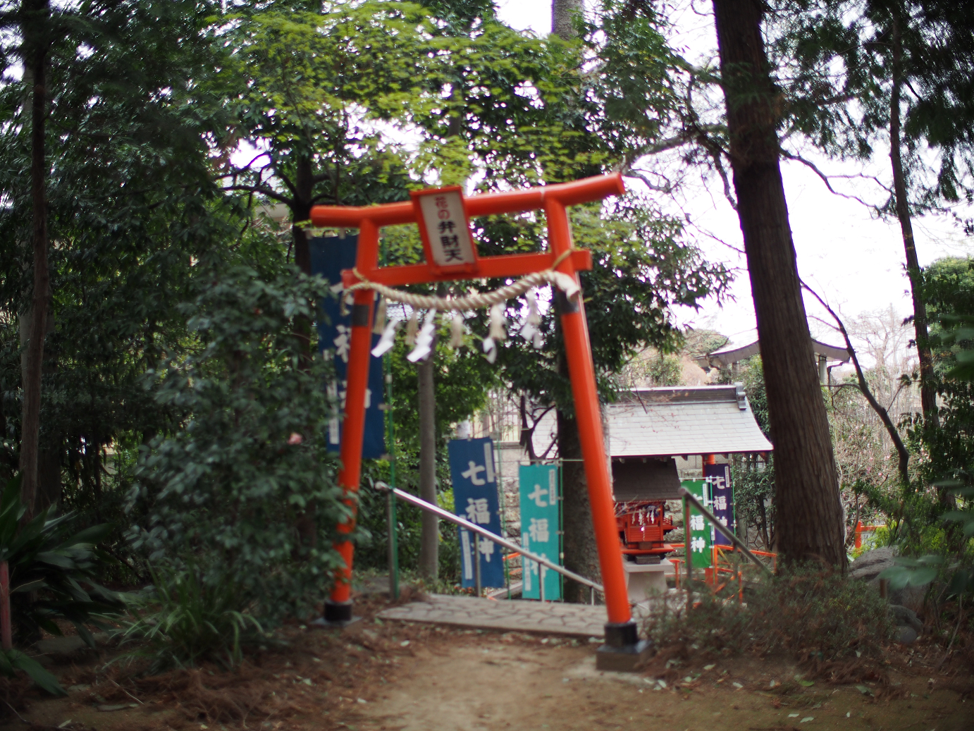 P3240340.jpg