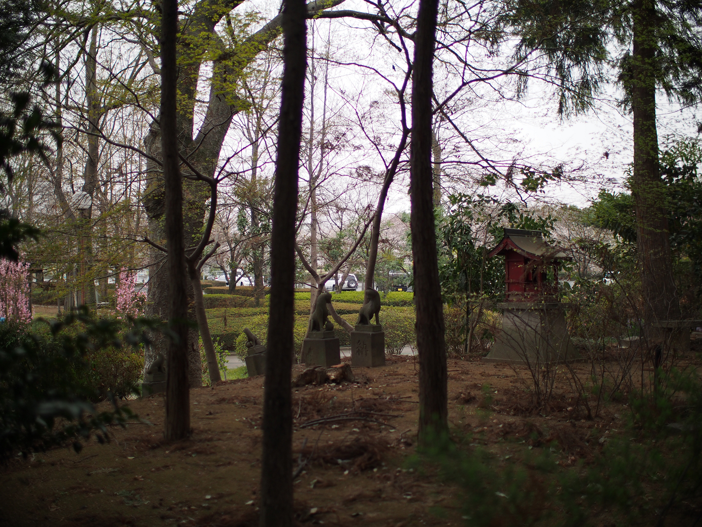 P3240354.jpg