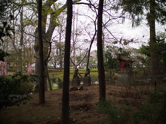 P3240354_thumb.png