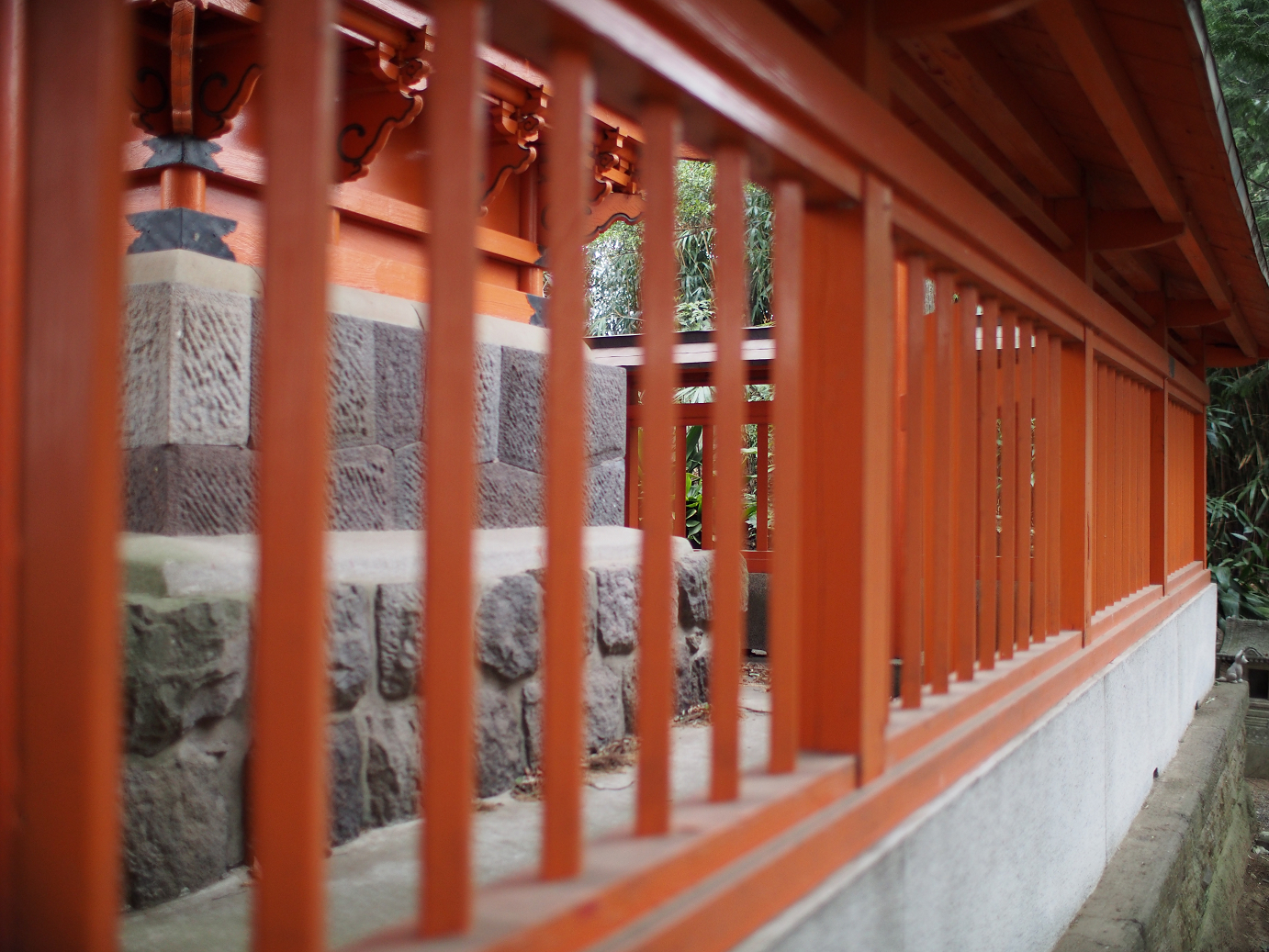 P3240358.jpg