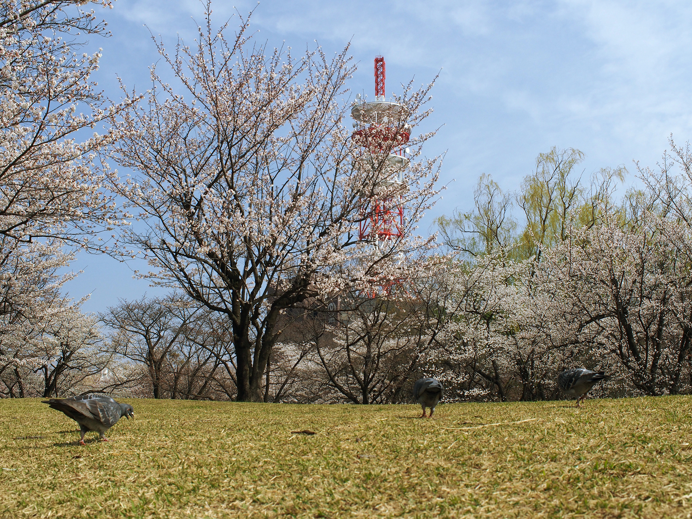 P3280007.jpg