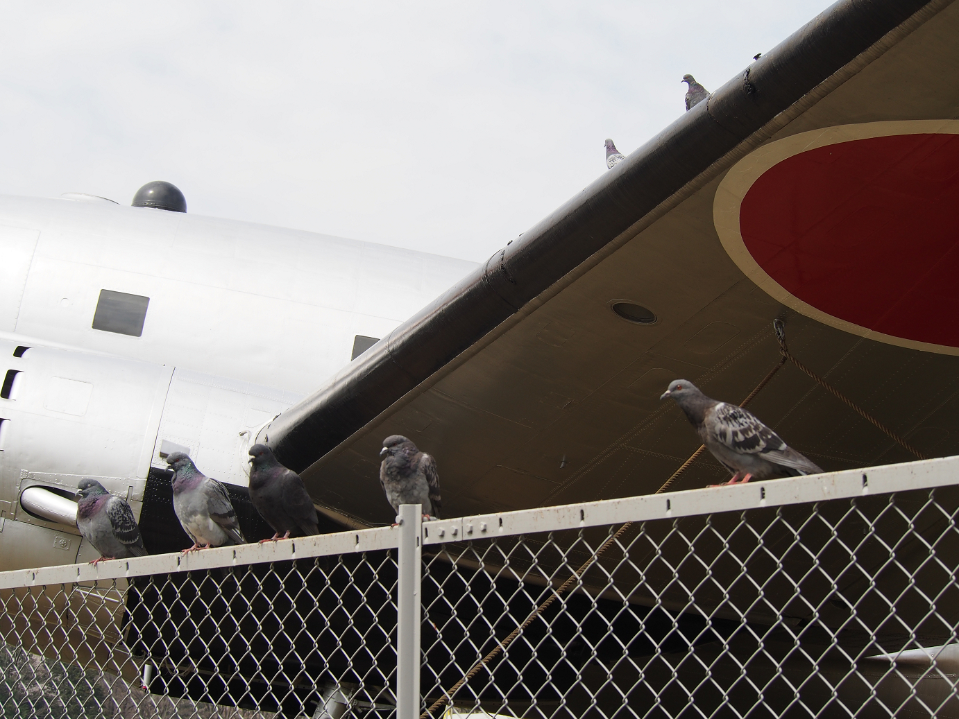 P3280105.jpg