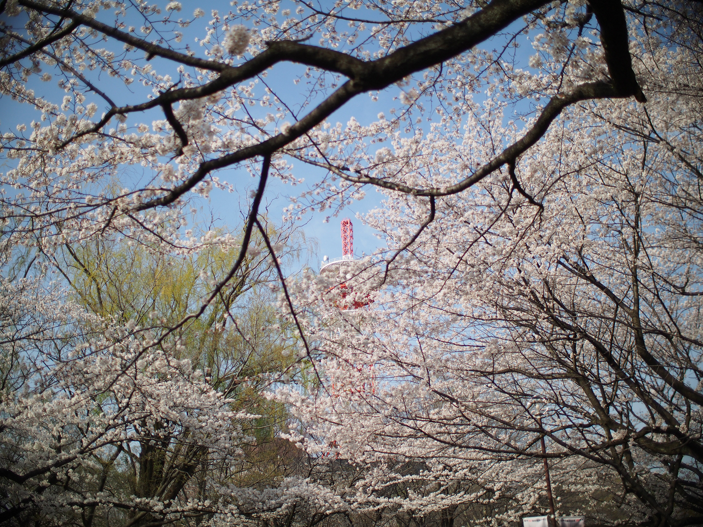 P3280315.jpg