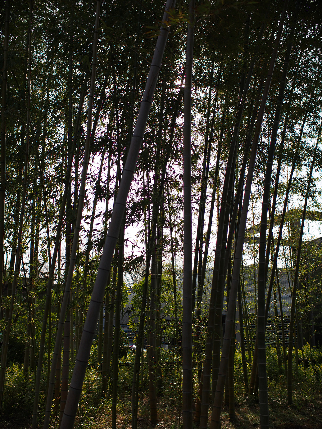 P3280324.jpg