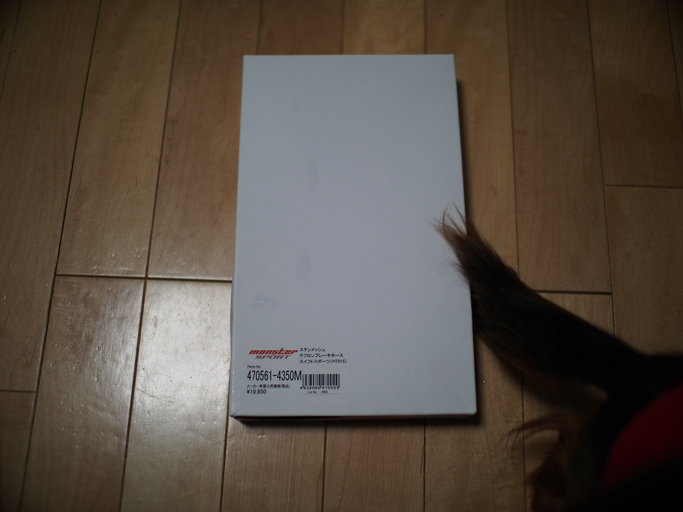 P4190756.jpg