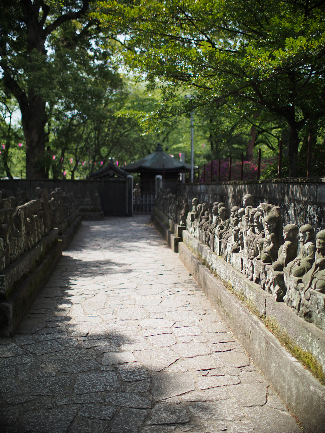 P4230055.jpg