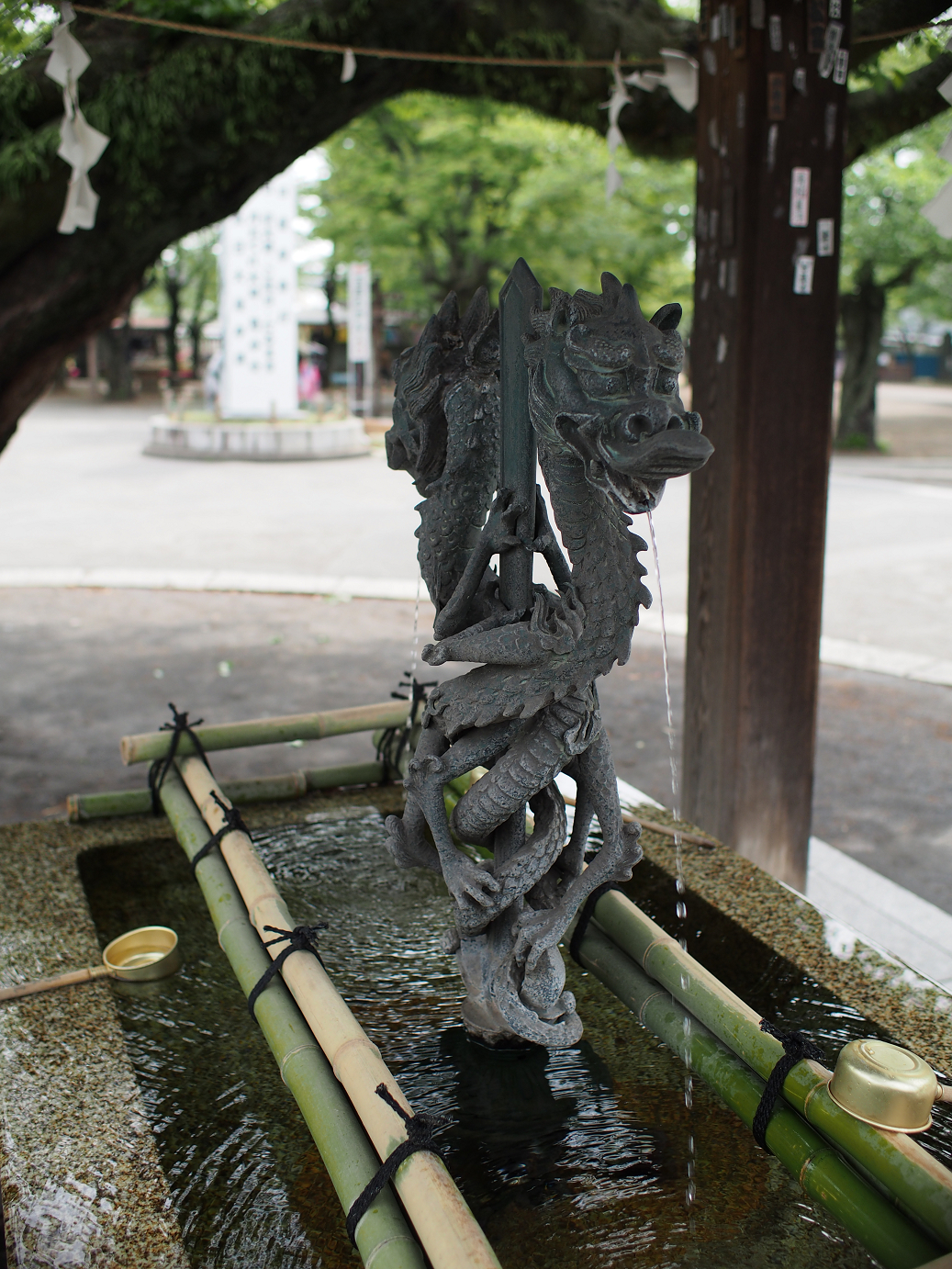 P4230104.jpg