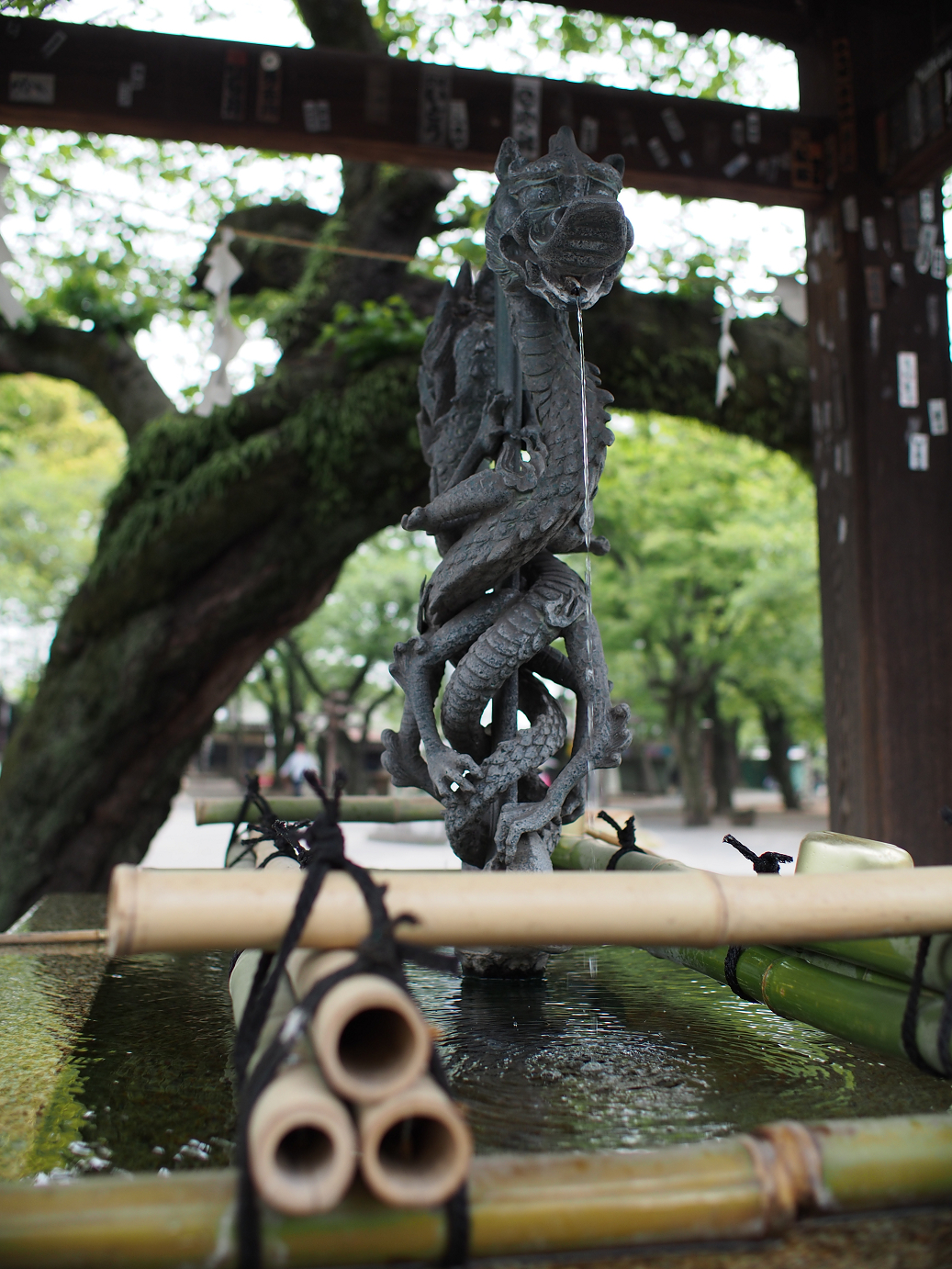 P4230105.jpg