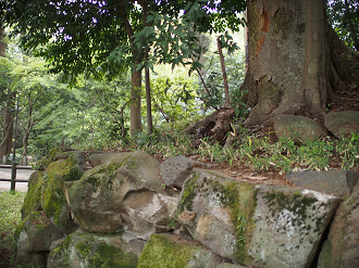 P4230116_thumb.png