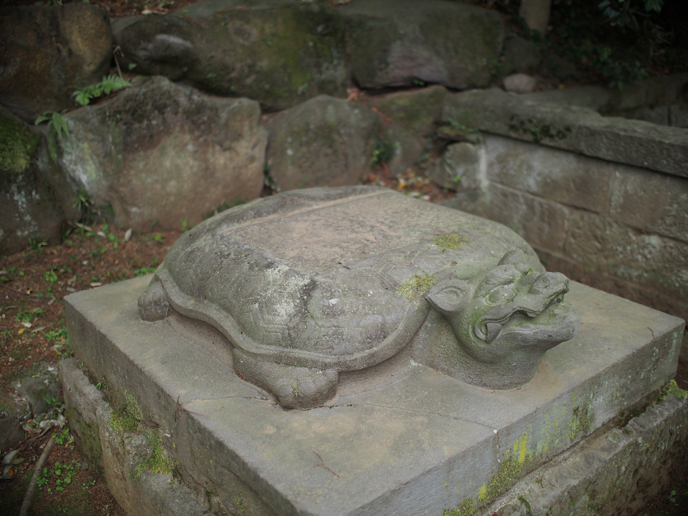 P4230117.jpg