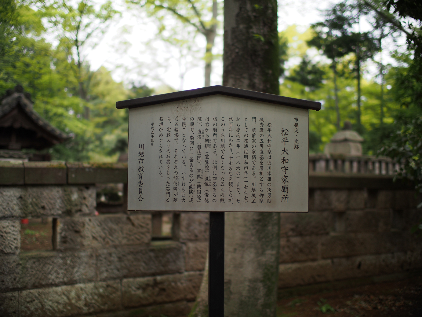 P4230118.jpg
