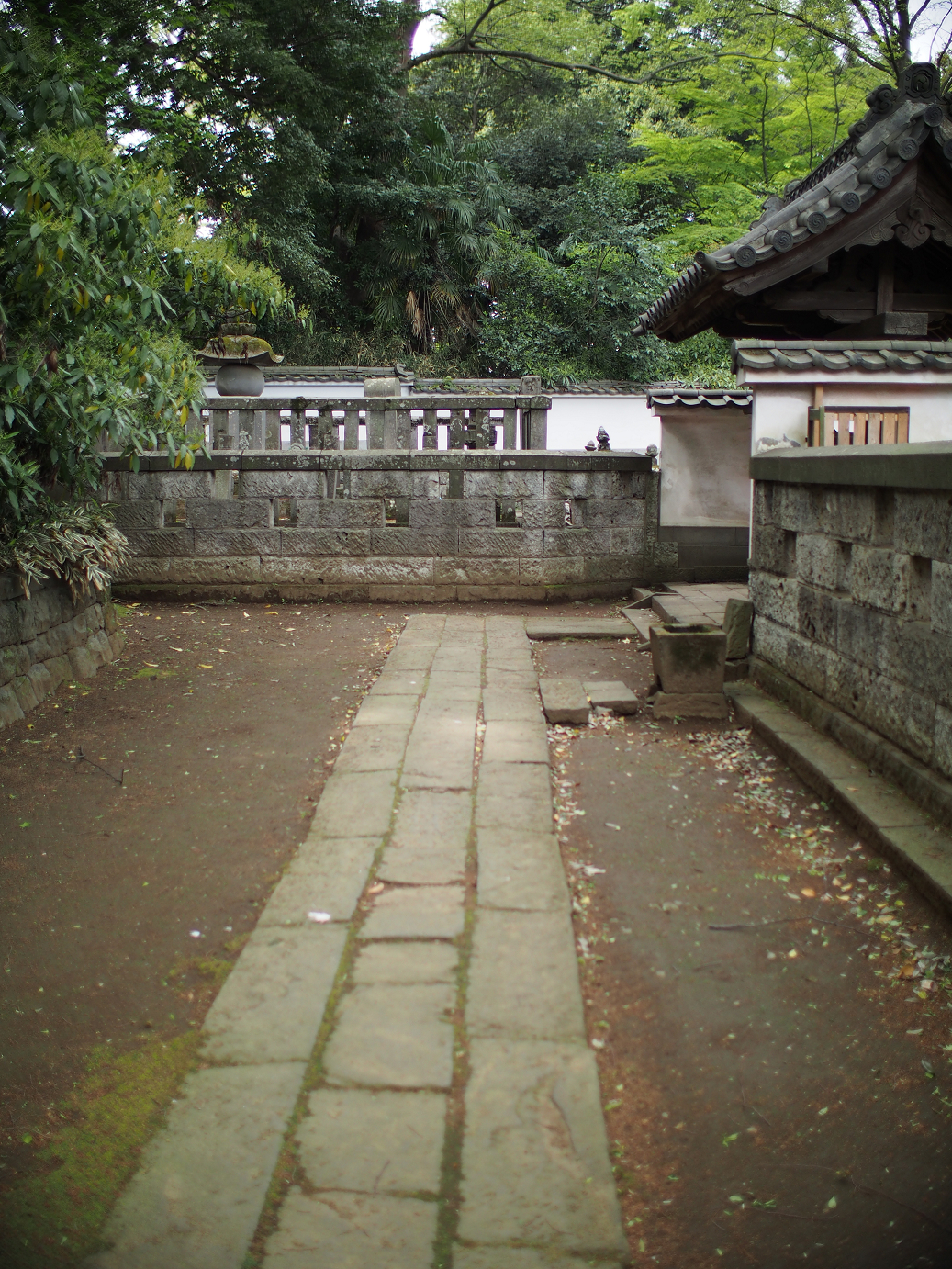 P4230119.jpg