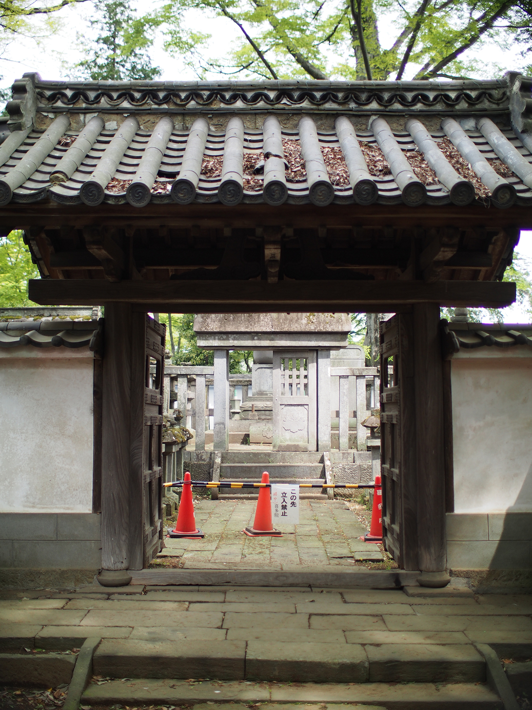 P4230124.jpg