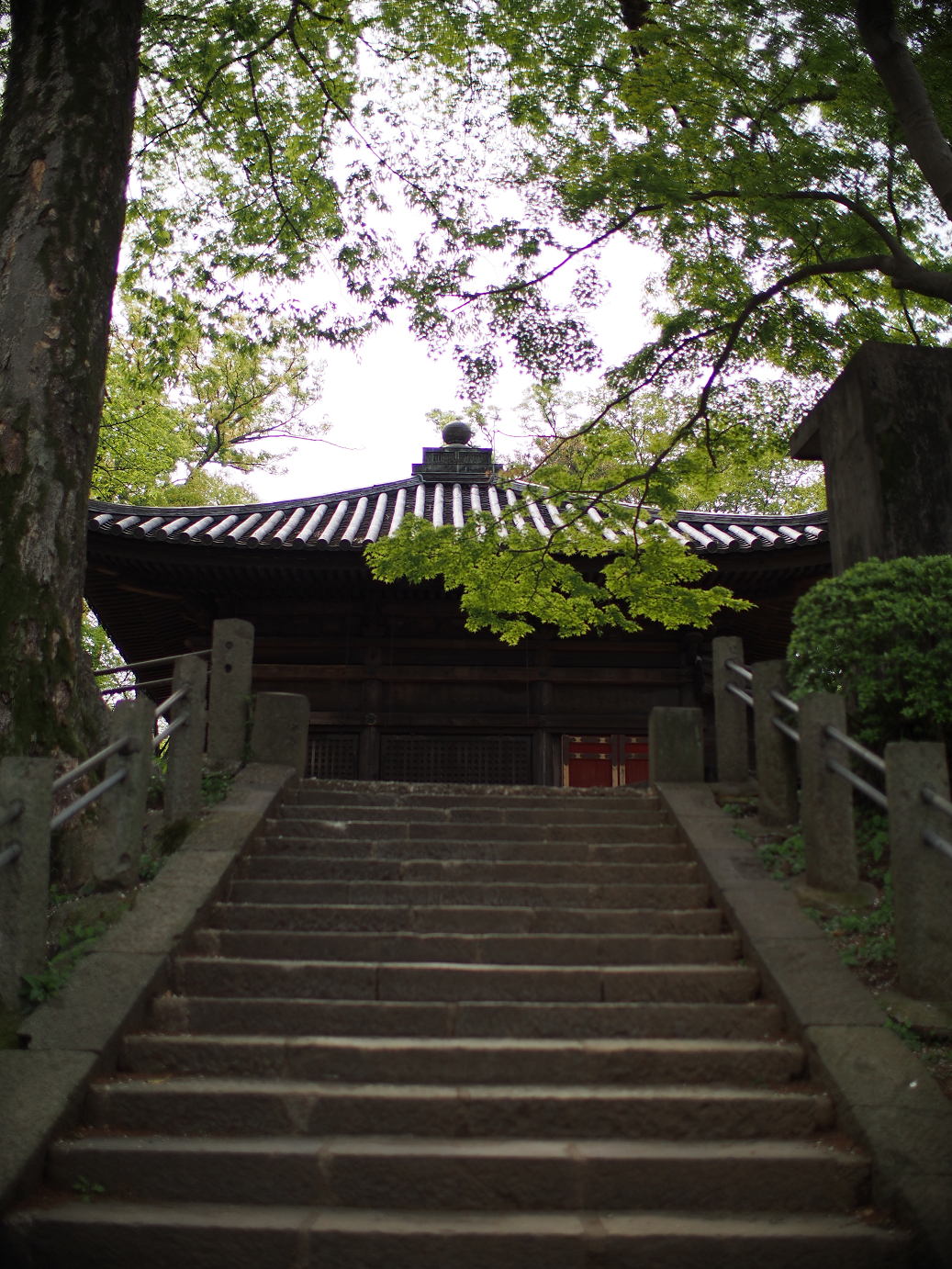 P4230129.jpg