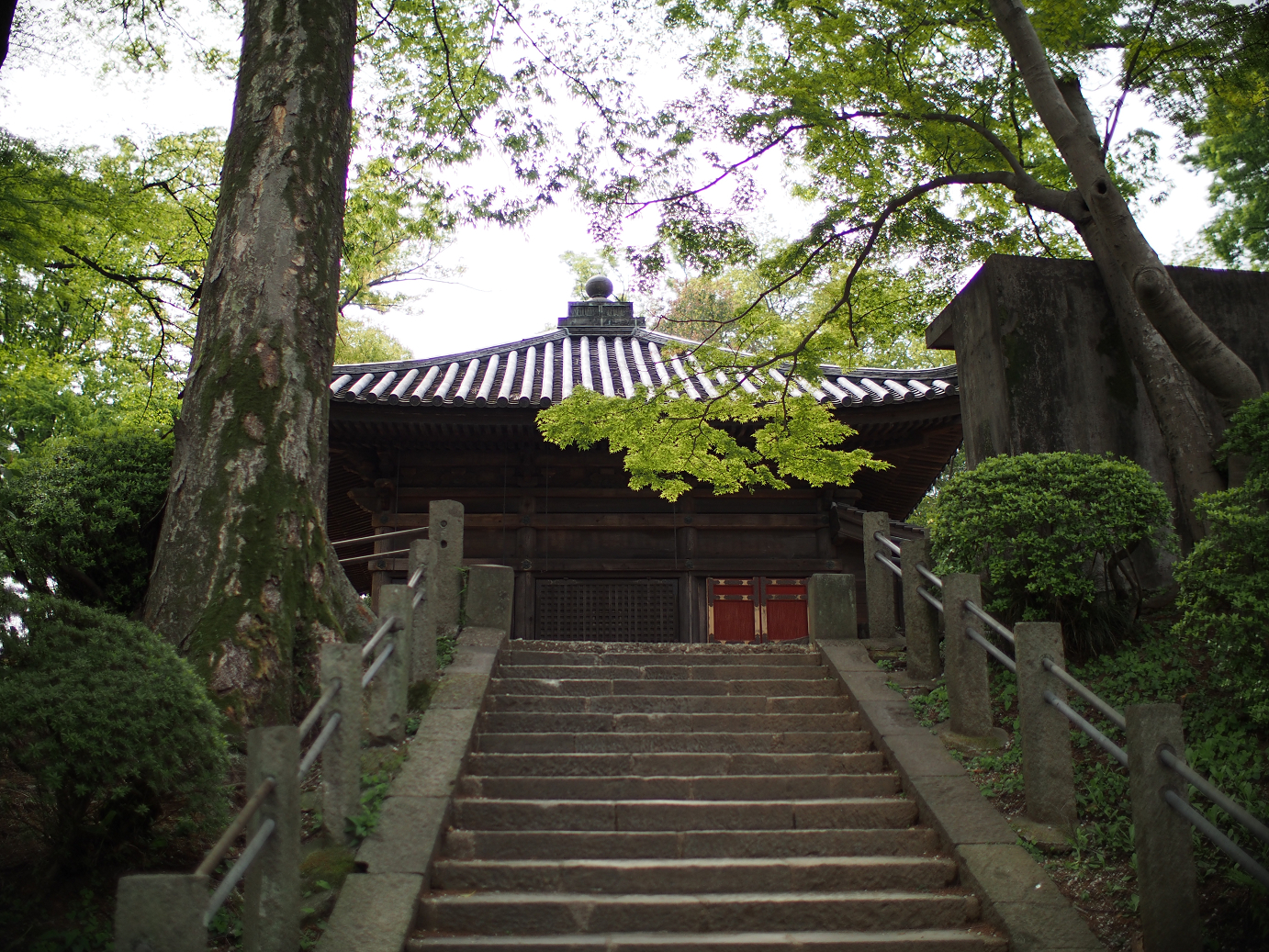 P4230130.jpg